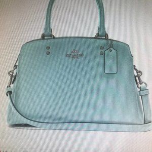 Coach Mini Lillie Carryall Handbag Satchel